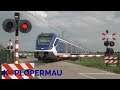 Spoorwegovergang Zuidermeer // Dutch Railroad Crossing