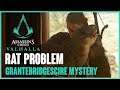 Assassin's Creed Valhalla | Solving the Rat Problem | The Doom Book of Cats (Mystery Event)