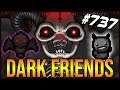 Dark Friends - The Binding Of Isaac: Afterbirth+ #737