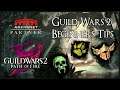 GW2 New Players Guide - Beginners Tips for Guild Wars 2
