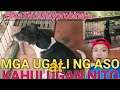 MGA UGALI NG ASO AT KAHULUGAN NG MGA ITO #eskatvbuhayprobinsya