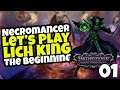 Necromancer Playthrough #1: Pathfinder Wrath of the Righteous CRPG