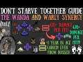 The Wanda & Warly Synergy - Achieve 420+ DMG & Age SUPER Slow! - Don't Starve Together Guide [NEW]