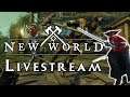 New World Open Beta Gameplay! Time To Chop Some Trees?