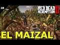 RED DEAD REDEMPTION 2 (PS4) [1669] SERIE | #28 EL MAIZAL