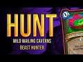 Beast Hunter | Wailing Caverns | Wild Hearthstone