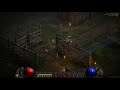 Diablo 2 Resurrected: Niles Gotta Have It Edition