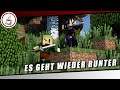 ES GEHT WIEDER RUNTER #11 «» Minecraft Hardcore Mode | Deutsch German