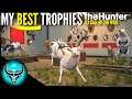 My FAVORITE Trophies of All Time in theHunter Call of the Wild | Trophy Lodge Tour 2021