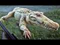 Red Dead Redemption 2 #78: Minha Vingança Contra o Gigante Crocodilo Branco Lendário