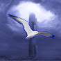 PolarSeagull