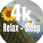 Relax Sleep Films 4K