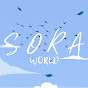 Sora World