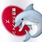 the tokyo Dolphins