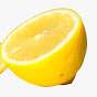 TheLemonSlayR
