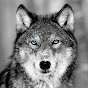 Wolffox_BTSxgon