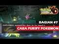 CARA CEPAT PURIFY POKEMON ! Pokemon XD : Gale of Darkness - Part 7