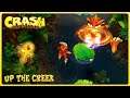Crash Bandicoot (PS4) - TTG #1 - Up The Creek (Gold Relic Attempts)