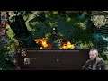 Divinity: Original Sin II (день 4)