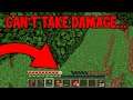 Minecraft BUT, If I Take DAMAGE The Video Ends...