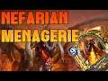 Nefarian Menagerie - Lightfang Enforcer Plays - Hearthstone Battlegrounds Highlights