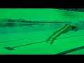 Lauren Esposito Green-Skinned One-Piece Black Swimsuit Butt Flipping Underwater Pool Scene