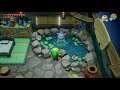 Link's Awakening - Secret Seashell (Animal Village)