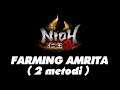 Nioh 2 - Farming Amrita + Testi