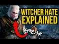 Why People Hate The Witchers So Much Explained