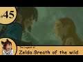 Zelda breath of the wild Ep45 The final memory -Strife Plays