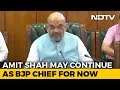 Amit Shah To Remain BJP Chief For Now, Say Sources