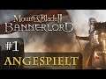 Let's Play Mount & Blade 2 Bannerlord #1: Familienbande (Angespielt / Gameplay)