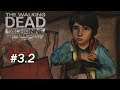 Safe Closet I The Walking Dead Michonne I Episode 3.2