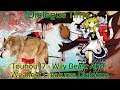 Touhou 17 Wily Beast and Weakest Creature Dialogue Part 1 (Marisa Wolf Route)