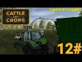 Cattle and Crops - #12 - Programmiamo gli Operai! - [HD - ITA]