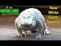 Gatorland Opens White Alligator Swamp - Largest White Gator Breeding Facility in World