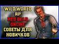 Wild World RP Red Dead Online советы для новичков!