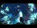 Subnautica(サブノーティカ)#10をトラがごとくライブ配信! 21-11-20