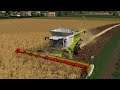 Ungesheim #35 | Farming Simulator 19 Timelapse | Mowing Hay, Planting, Animal Care |FS19 Timelapse