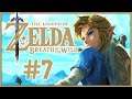 The Legend of Zelda: Breath of the Wild con Onion #7 Sensuales furros