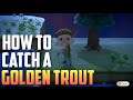 HOW TO CATCH A GOLDEN TROUT - Animal Crossing New Horizons
