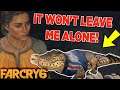 I'M ABOUT TO FIRE THIS ALLIGATOR!! [ FAR CRY 6 ] PART 2