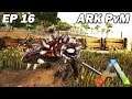 Je capture le plus beau des Ankylosaures ! Ark Survival Evolved #16