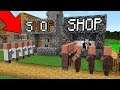 Minecraft Noob vs Pro: NOOB and HACKER OPENED his SHOP in the Village