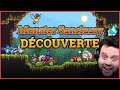 MONSTER SANCTUARY: Découverte!