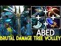 ABED [Tiny] Brutal Damage Tree Volley VS ANA 23savage Immortal Ranked 7.22 Dota 2