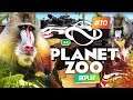 Les MANDRILLS en BALENCIAGA ! ► Planet Zoo #10