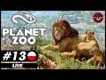 PLANET ZOO 2021 PL 🐯 | #13 | Rajskie Zoo | 🐒 zapis LIVE