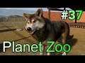 実況 動物観察の刑に処す！「Planet Zoo」#37