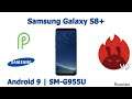 Samsung Galaxy S8+ - Antutu V9 - Android 9